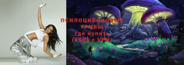 spice Верхний Тагил
