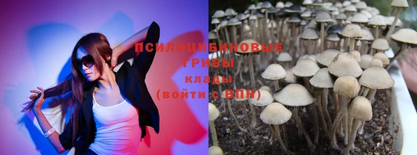 дмт Верея