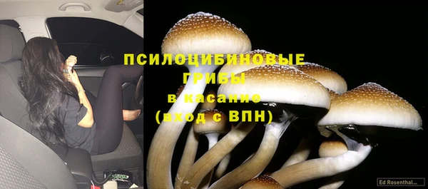 мяу мяу мука Верхнеуральск