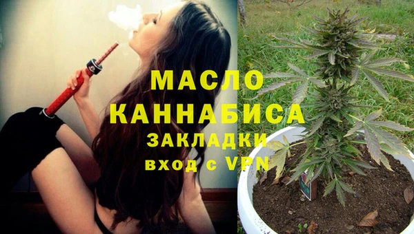 дмт Верея