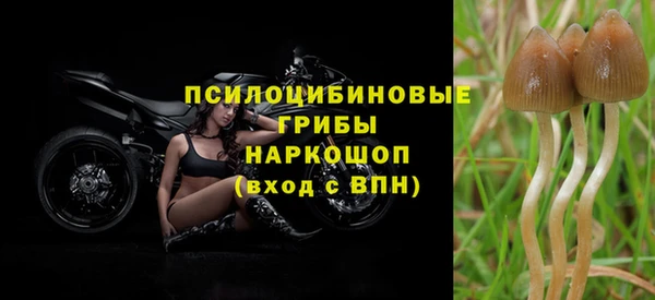 дмт Верея