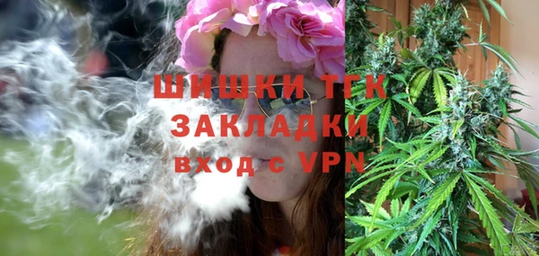дмт Верея