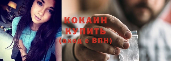 дмт Верея