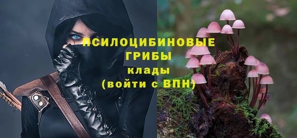 дмт Верея