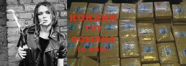 дмт Верея