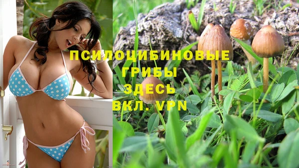 мяу мяу кристалл Бугульма